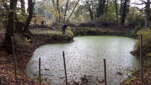 Fencing the Pond day 3-5