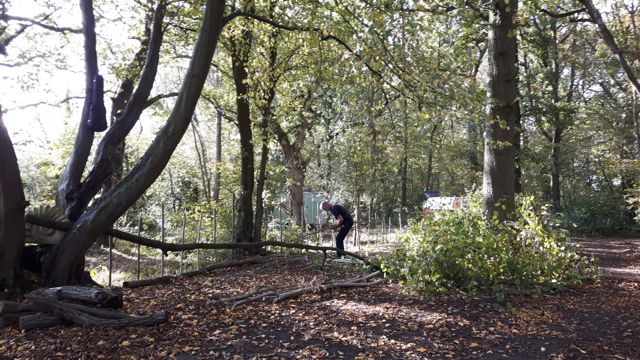 Fencing the Pond day 3-6