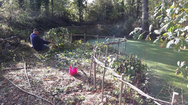 Fencing the Pond day 3-7