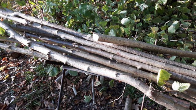 Fencing the Pond day 3