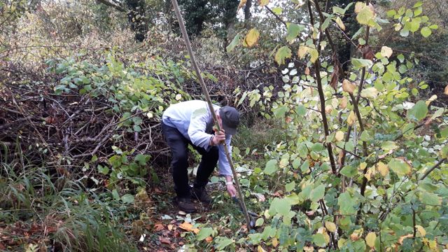 Wood Pond Hedge John Esling-5