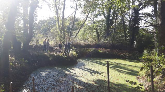 Woodland Hazel Hurdling-2