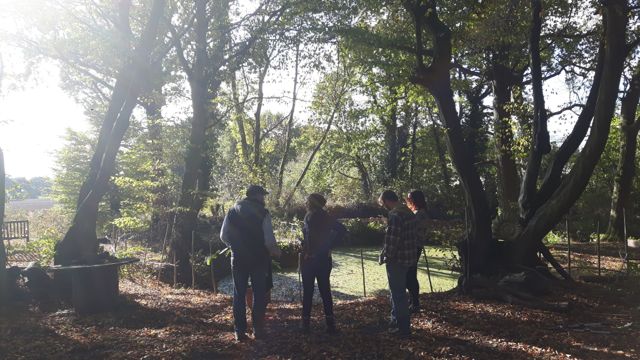 Woodland Hazel Hurdling