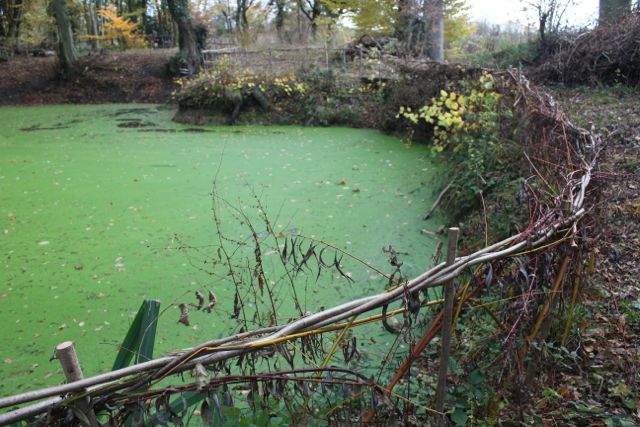 Kaliwood Pond Fence-10