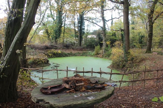 Kaliwood Pond Fence-12