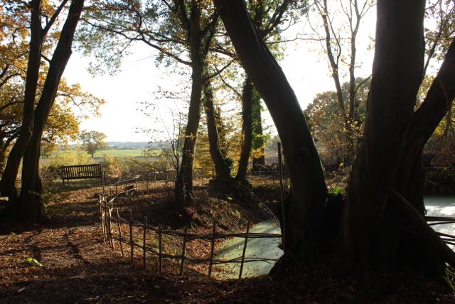 Kaliwood Pond Fence-13