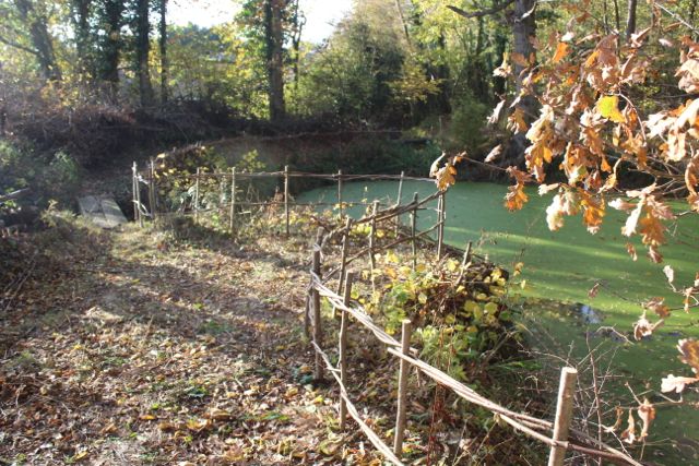 Kaliwood Pond Fence-15