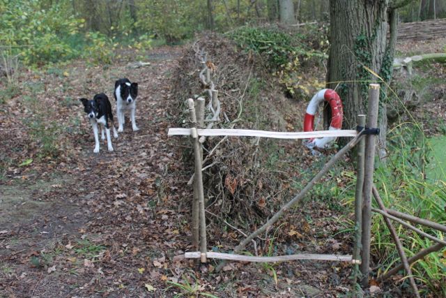 Kaliwood Pond Fence-5