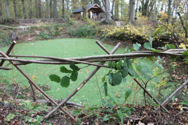 Kaliwood Pond Fence-6