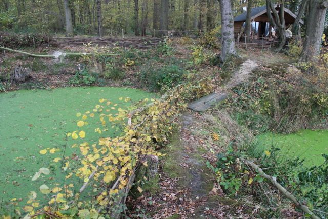 Kaliwood Pond Fence-8