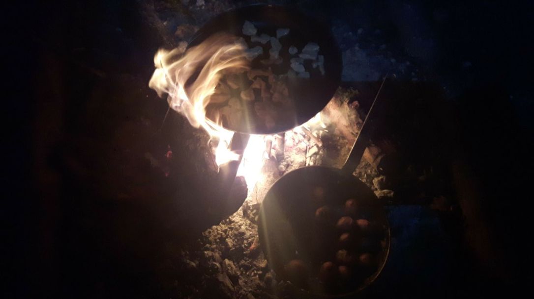 KFS Twilight partridge-6