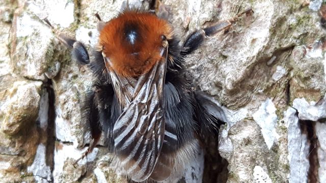 kfs january homeed-7