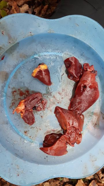 kfs wednesday jan-14