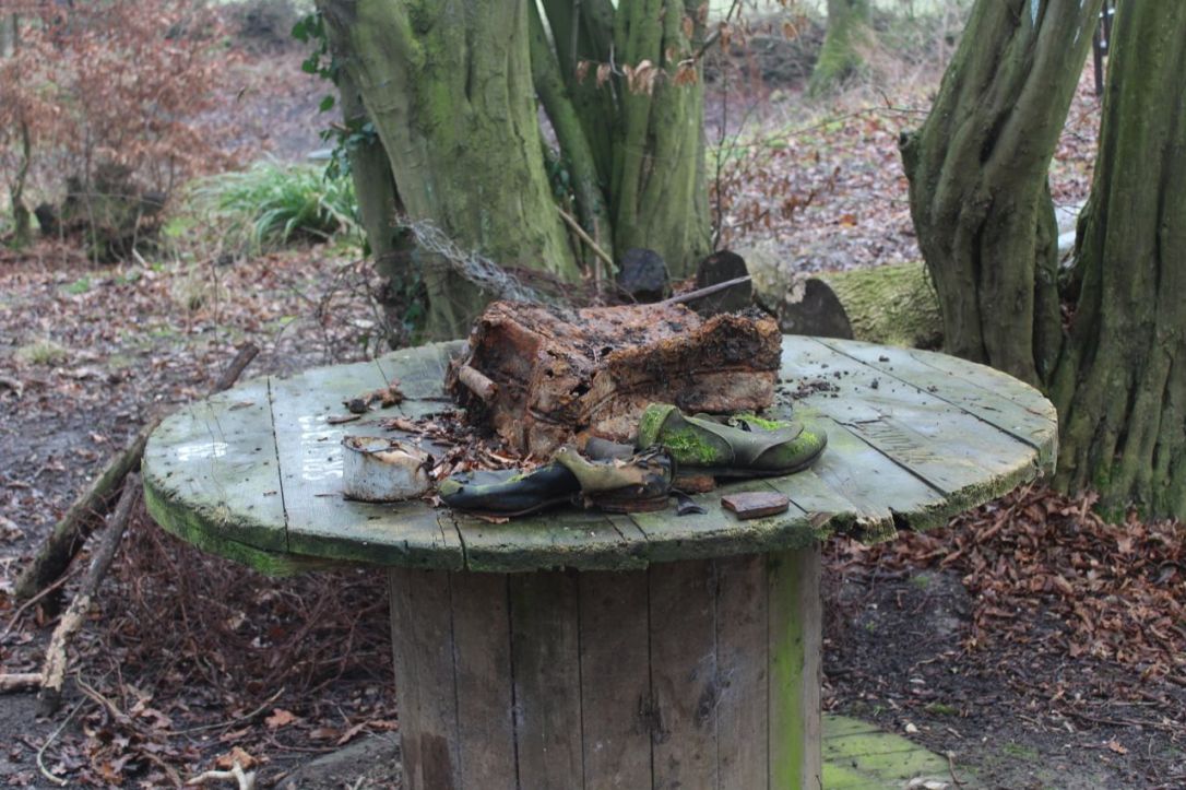 KFS found in the wood