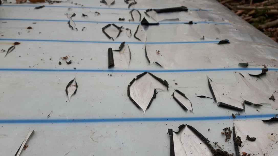 02c KFS Wednesday Jan-5