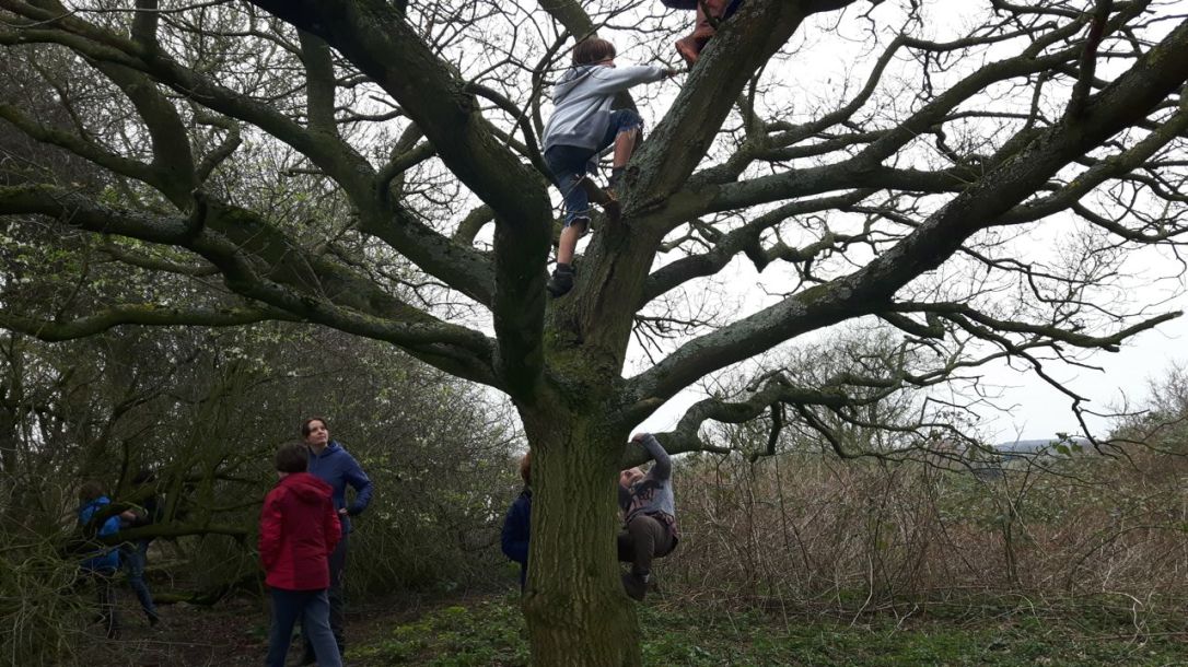 KFS 2019 March Wednesday Equinox-5