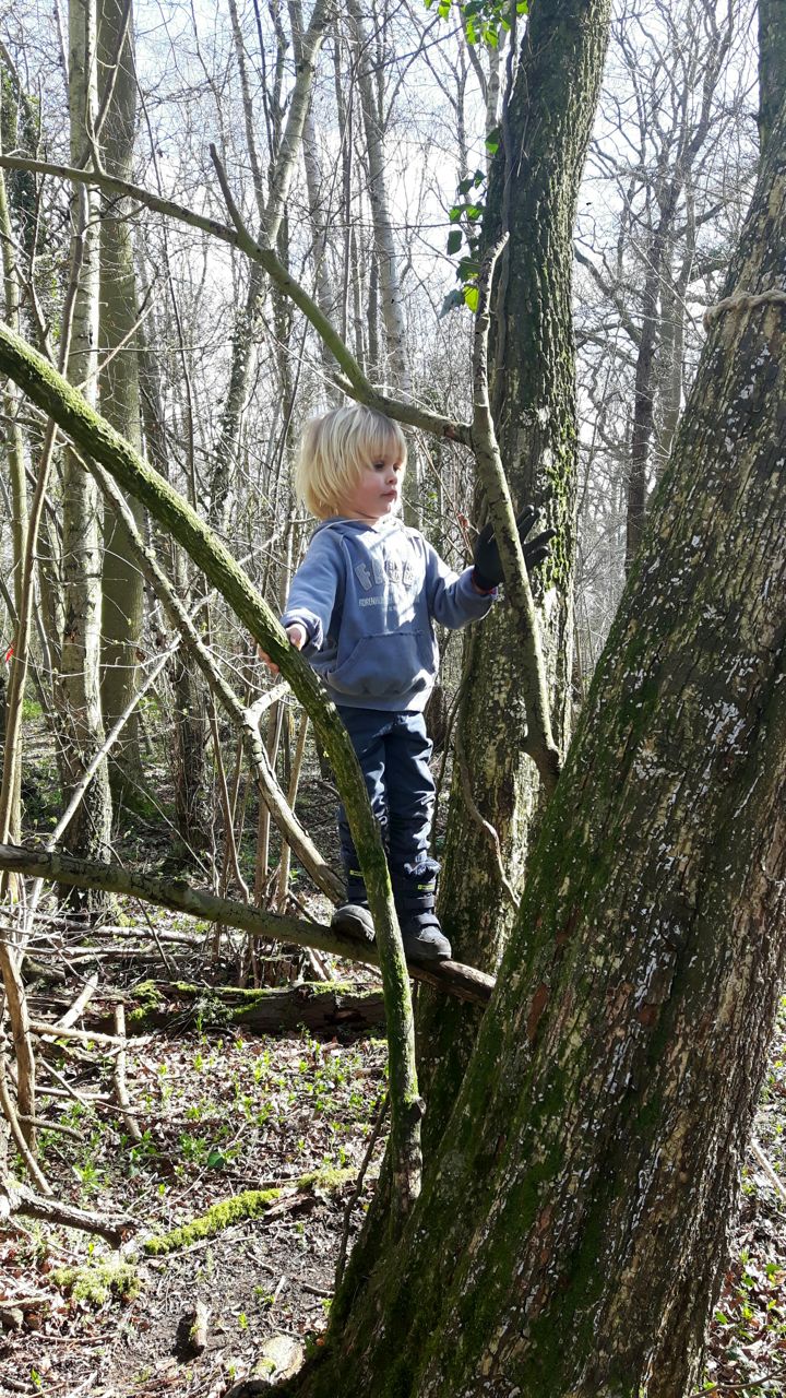 KFS MOnday March 18-5