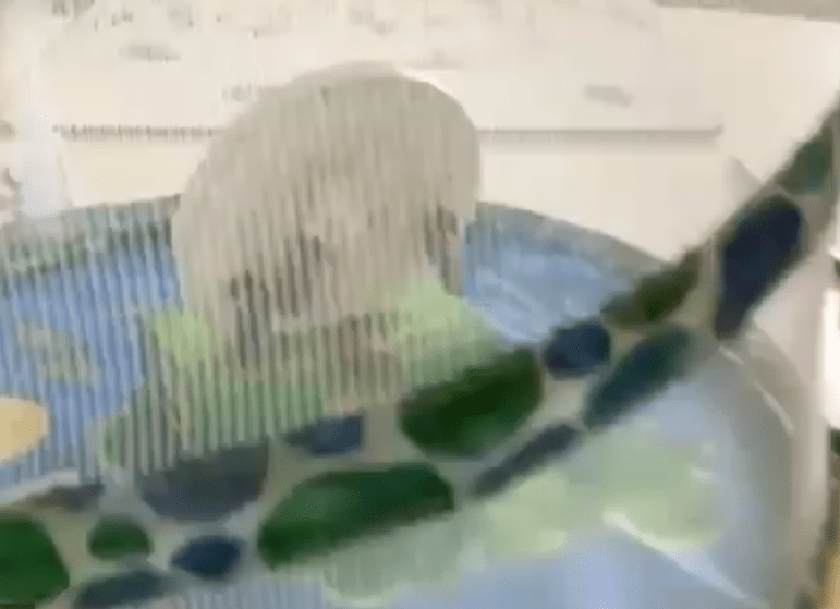 Screen Shot 2020-06-26 at 13.41.02