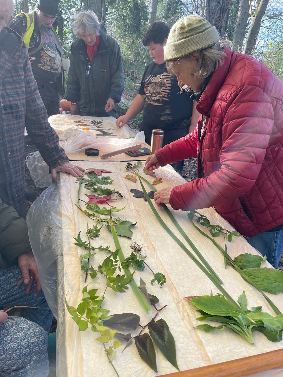 Elders 26 – Eco printing, planting silver birch,&nbsp;celebrating