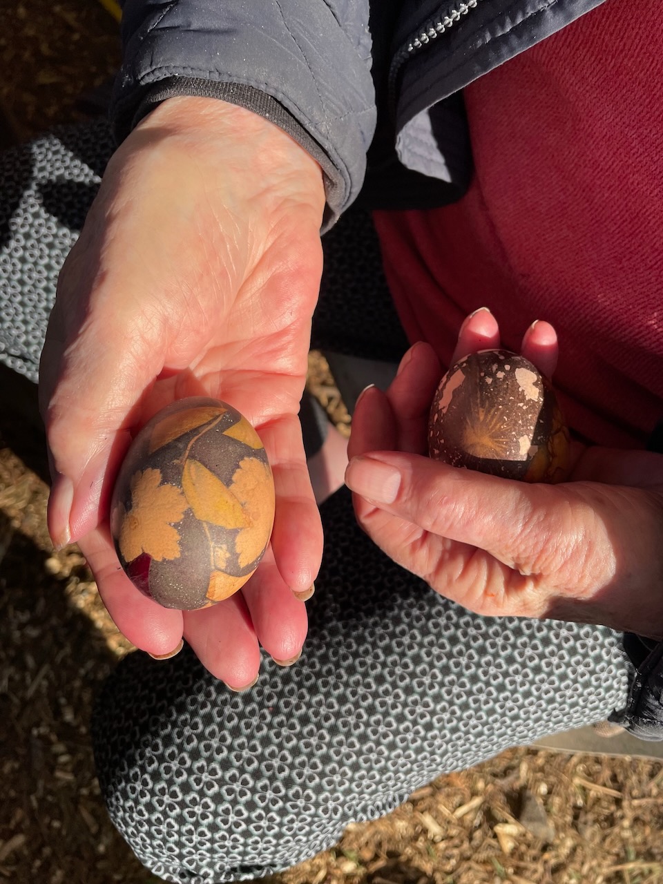 Elders 1 – Welcome back explore of land and egg decorating